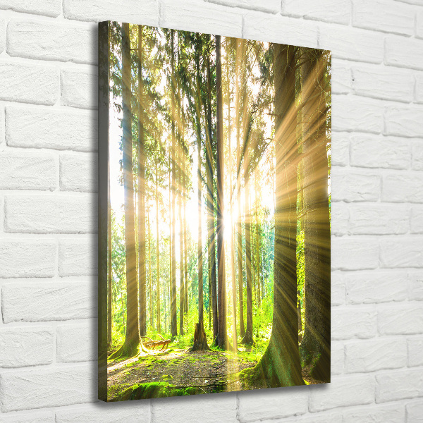 Fotografía en lienzo vertical El sol en el bosque