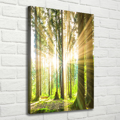 Fotografía en lienzo vertical El sol en el bosque