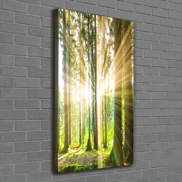 Fotografía en lienzo vertical El sol en el bosque