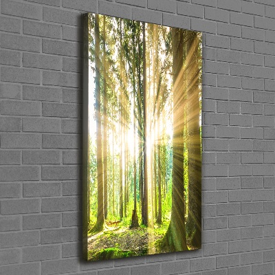 Fotografía en lienzo vertical El sol en el bosque