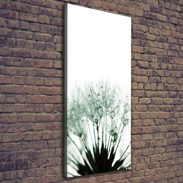 Impresión en lienzo vertical semillas de diente de león