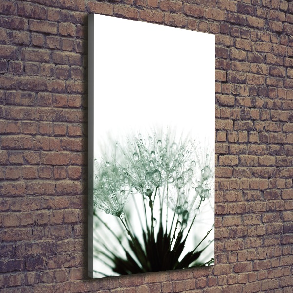 Impresión en lienzo vertical semillas de diente de león