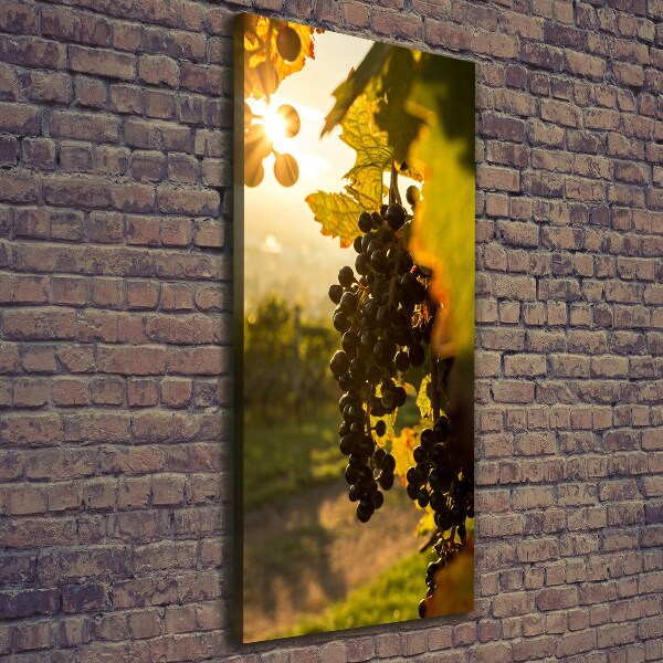 Cuadro canvas decorativo para salón vertical Viñedo