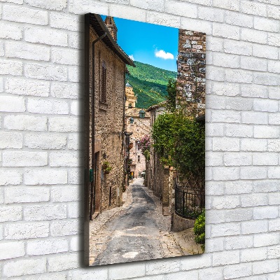 Cuadro canvas decorativo para salón vertical Una calle con encanto