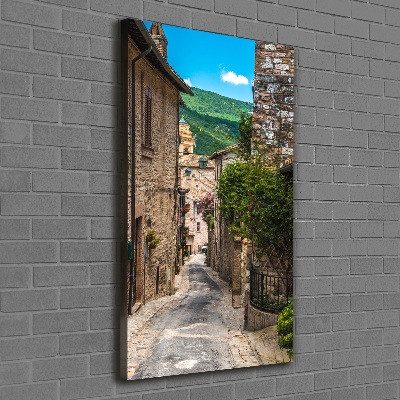 Cuadro canvas decorativo para salón vertical Una calle con encanto