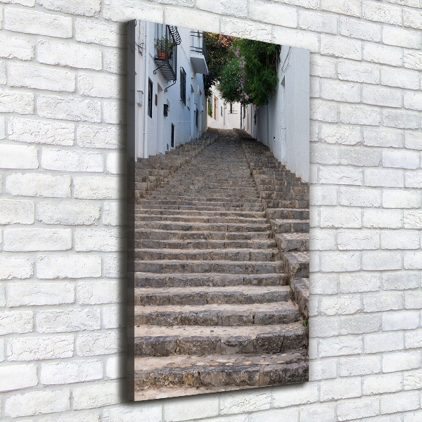 Cuadro moderno en lienzo resistente uv vertical Escaleras de piedra