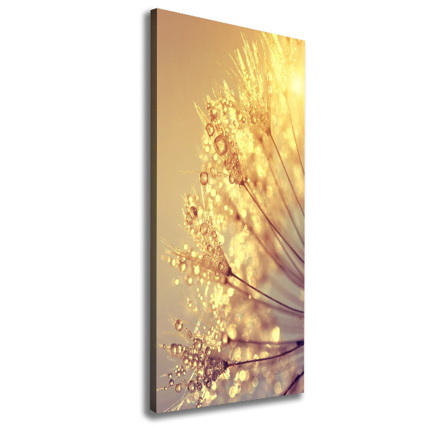 Fotografía en lienzo vertical semillas de diente de león