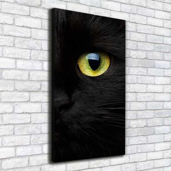 Cuadro canvas decorativo para salón vertical ojos de gato