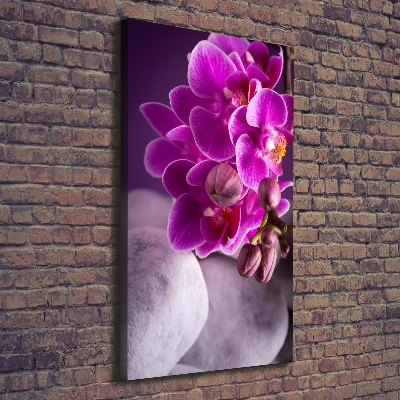Fotografía en lienzo vertical Orquídea rosa