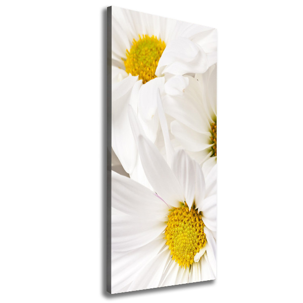 Cuadro moderno en lienzo resistente uv vertical margaritas