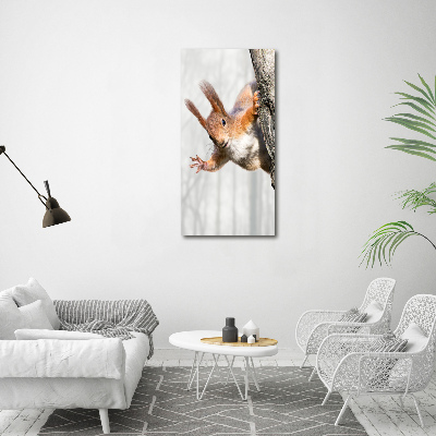 Cuadro canvas decorativo para salón vertical Ardilla en un árbol