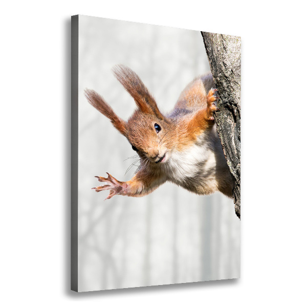 Cuadro canvas decorativo para salón vertical Ardilla en un árbol