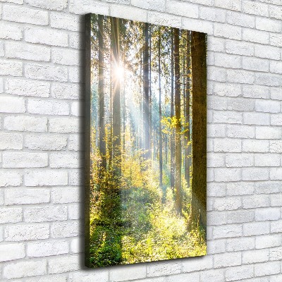 Cuadro canvas decorativo para salón vertical El sol en el bosque