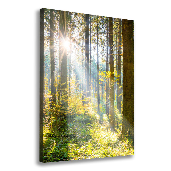 Cuadro canvas decorativo para salón vertical El sol en el bosque