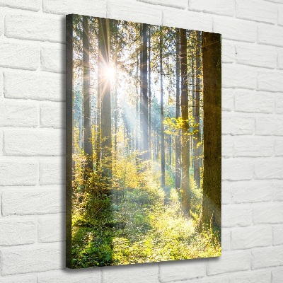 Cuadro canvas decorativo para salón vertical El sol en el bosque