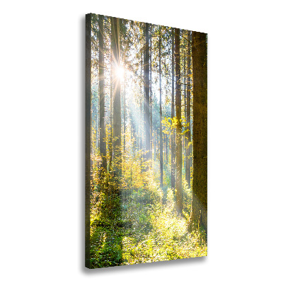 Cuadro canvas decorativo para salón vertical El sol en el bosque