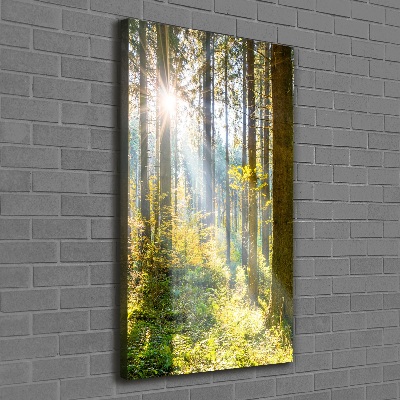 Cuadro canvas decorativo para salón vertical El sol en el bosque