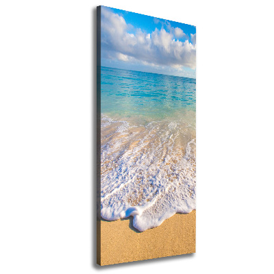 Foto obraz na płótnie pionowy Tropikalna plaża