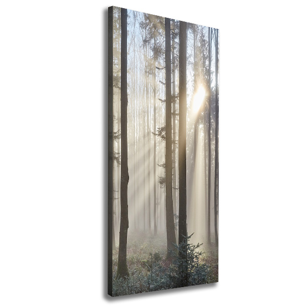 Cuadro canvas decorativo para salón vertical Niebla en el bosque