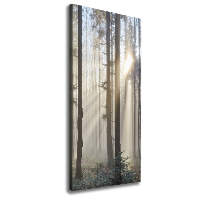 Cuadro canvas decorativo para salón vertical Niebla en el bosque