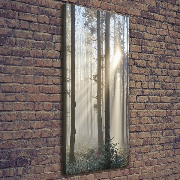 Cuadro canvas decorativo para salón vertical Niebla en el bosque