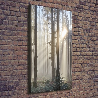 Cuadro canvas decorativo para salón vertical Niebla en el bosque
