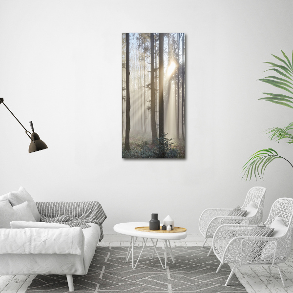 Cuadro canvas decorativo para salón vertical Niebla en el bosque