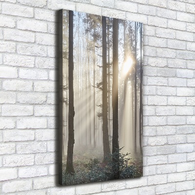 Cuadro canvas decorativo para salón vertical Niebla en el bosque