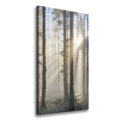 Cuadro canvas decorativo para salón vertical Niebla en el bosque