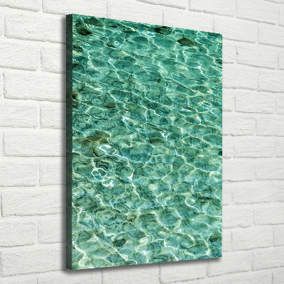 Cuadro canvas decorativo para salón vertical Agua clara