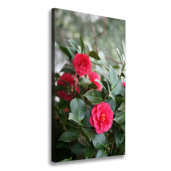Cuadro canvas decorativo para salón vertical Camelia