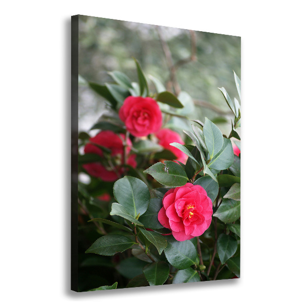 Cuadro canvas decorativo para salón vertical Camelia