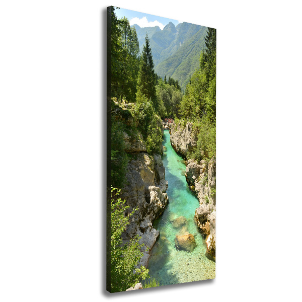 Cuadro canvas decorativo para salón vertical arroyo de montaña