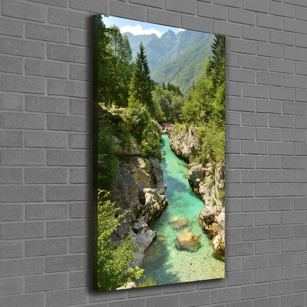 Cuadro canvas decorativo para salón vertical arroyo de montaña