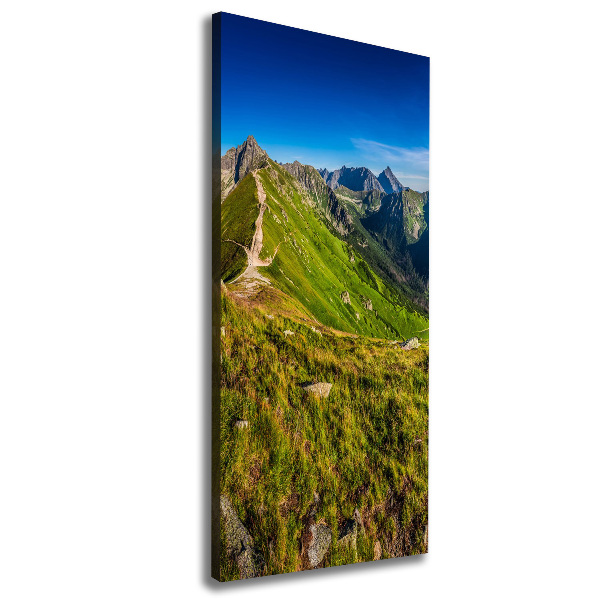 Cuadro canvas decorativo para salón vertical Montañas Tatra