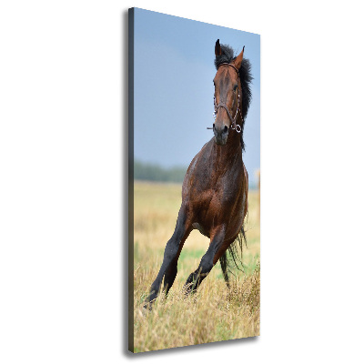 Cuadro canvas decorativo para salón vertical Un caballo en un campo