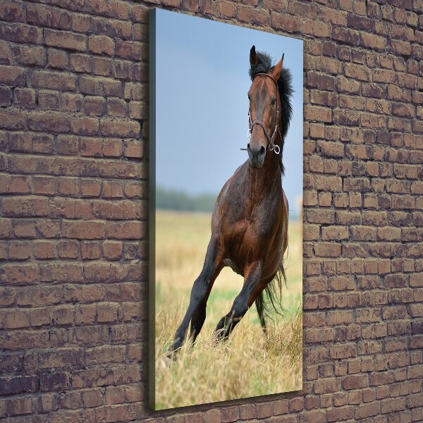 Cuadro canvas decorativo para salón vertical Un caballo en un campo