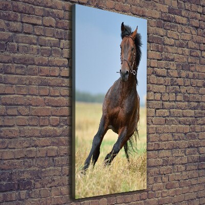 Cuadro canvas decorativo para salón vertical Un caballo en un campo