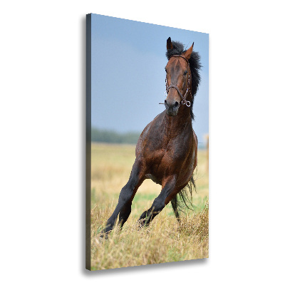 Cuadro canvas decorativo para salón vertical Un caballo en un campo