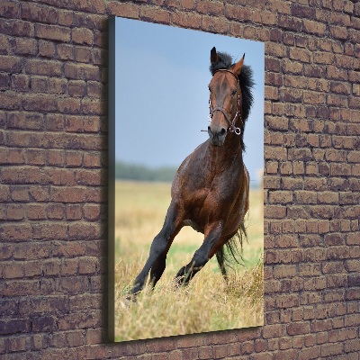 Cuadro canvas decorativo para salón vertical Un caballo en un campo