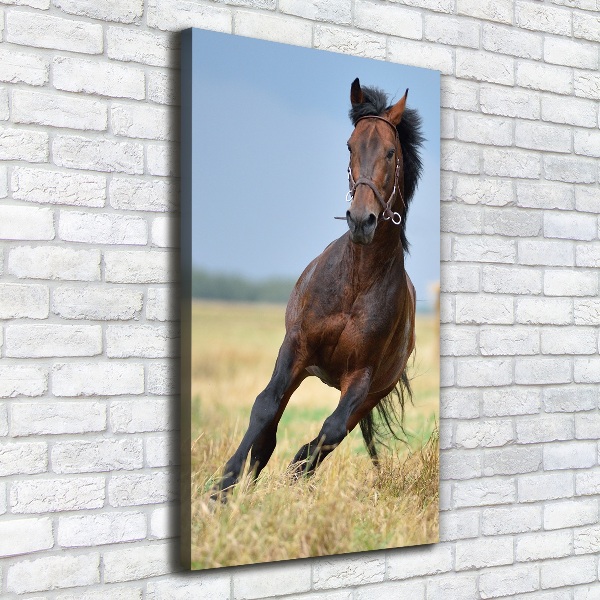 Cuadro canvas decorativo para salón vertical Un caballo en un campo