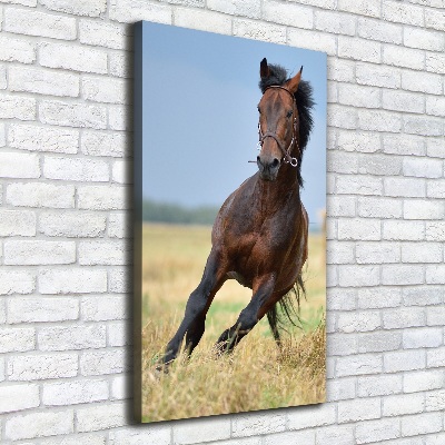 Cuadro canvas decorativo para salón vertical Un caballo en un campo
