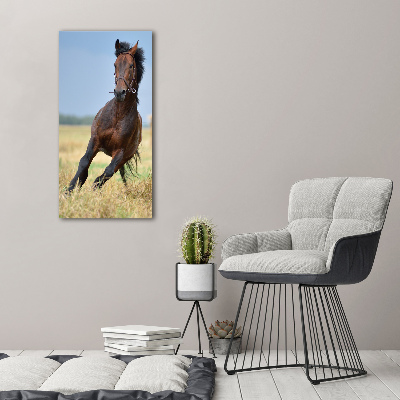 Cuadro canvas decorativo para salón vertical Un caballo en un campo