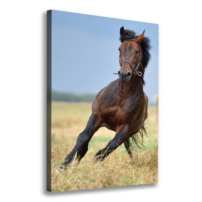 Cuadro canvas decorativo para salón vertical Un caballo en un campo