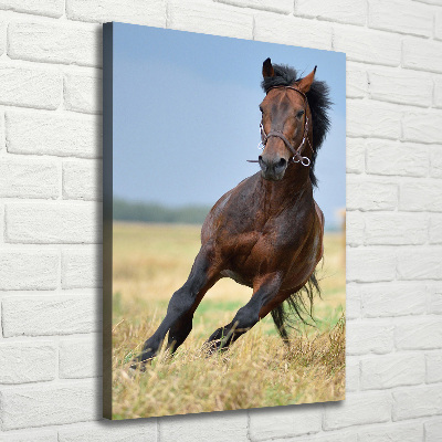 Cuadro canvas decorativo para salón vertical Un caballo en un campo