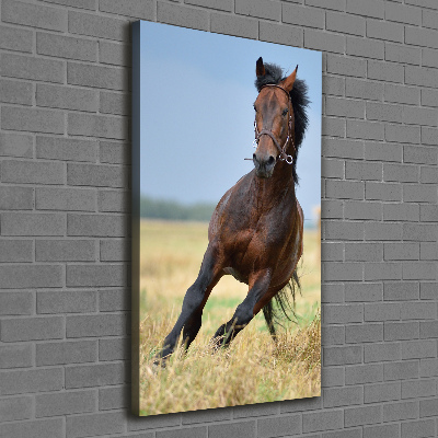 Cuadro canvas decorativo para salón vertical Un caballo en un campo