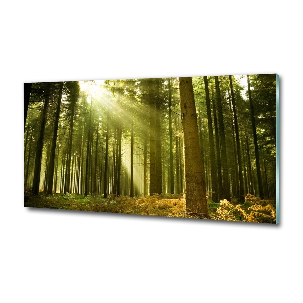 Foto en cristal de alta calidad con impresión uv horizontal bosque de pinos