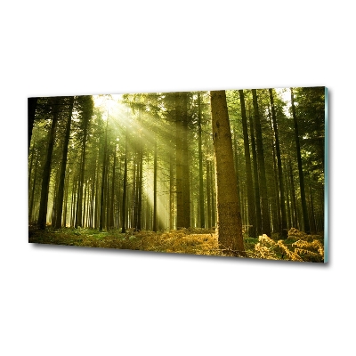 Foto en cristal de alta calidad con impresión uv horizontal bosque de pinos