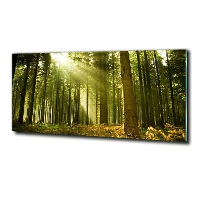 Foto en cristal de alta calidad con impresión uv horizontal bosque de pinos