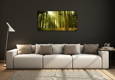 Foto en cristal de alta calidad con impresión uv horizontal bosque de pinos